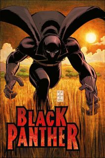 Black Panther Wer ist Black Panther?